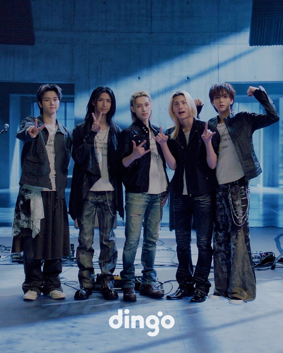 dingo_official tweet picture