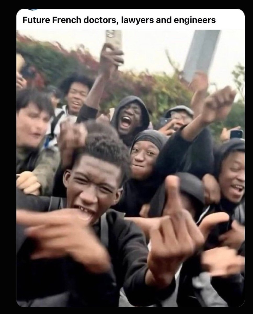 TheFullEngl1sh's tweet photo. Those pesky French students sure look lost without their education. https://t.co/TvPTyy0FEO