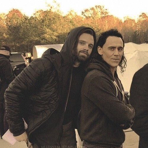Marvfess's tweet photo. marv! ada yg bisa baca tarot nasib bucky dan loki di avengers: doomsday ga? (serius) https://t.co/LeOl45Tenh