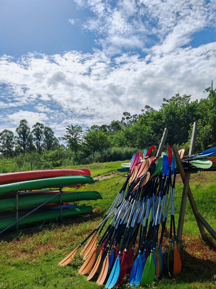 TillUlenspiegel's tweet photo. Look, a broken string, a tent, a paddle, and a surging wave make a tiny but vivid outdoor scene! https://t.co/Epuxyk17zV