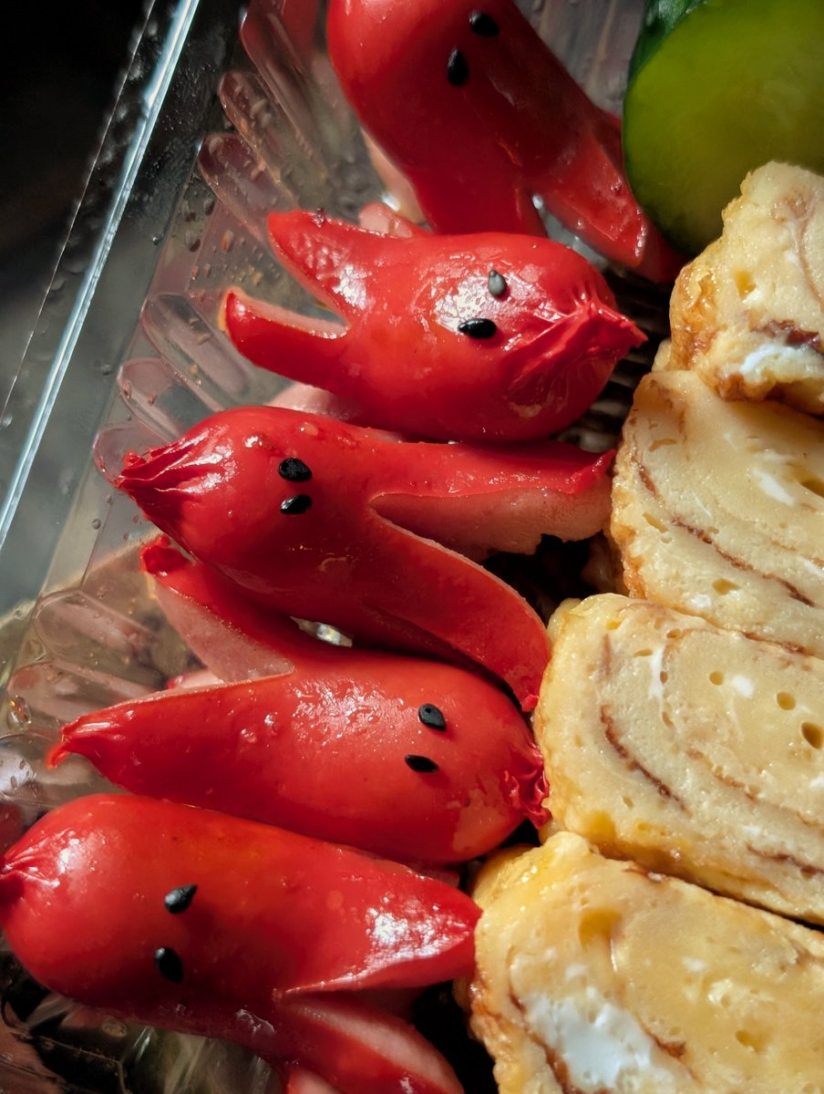 Tiger_McRover's tweet photo. 今日の昼飯。チーズおかかおにぎり弁当を作った。うま！ https://t.co/wfYY4U4l5c