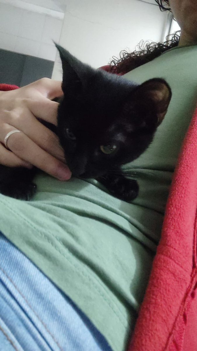 GarridoPhos's tweet photo. Gato :)

#gato #boys #fy https://t.co/oQaPHUYYKr