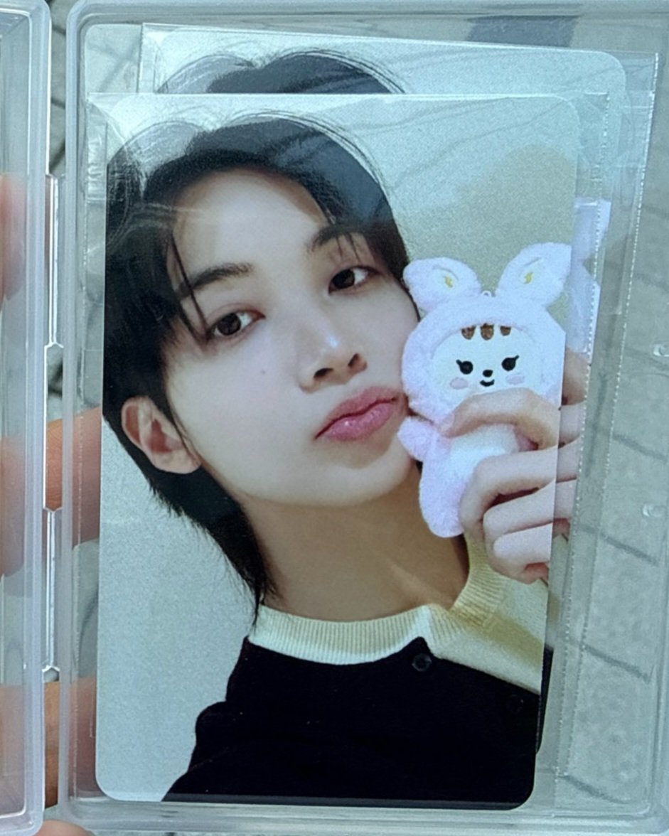 svtnserenade's tweet photo. jeonghan with jjongtoram and joshua with shuasumi! these photocards are a need! https://t.co/lwSGLAI266