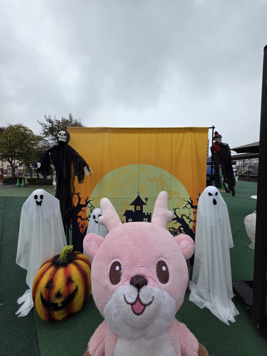 IWASHIKA0410's tweet photo. 今日も可愛いイワシカちゃんを応援🔥
🎉 イワシカに投票したよ！
📣 世界ご当地キャラ
グランプリ（WEB）で応援中！

あなたの1票でキャラクターを応援しよう👇
#世界ご当地キャラグランプリ #応援投票 #イワシカ https://t.co/iNGfLQUzJD https://t.co/jrShxCeR9r