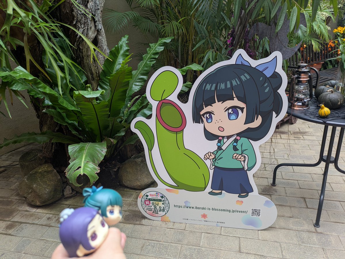 emickeyhappy's tweet photo. ボタニカルリゾート林音。駐車場から結構歩きます🚶‍���️‍➡️
植物園の中、滝の近くにスタンプ台。���ラボフードもいただいてきました。コースター４枚揃えた🎶
先があるので紅茶以外は車内でいただきました。
植物園面白そう！今度子どもたちも連れてゆっくり訪れたいです！ https://t.co/2Xe0yuGgx0