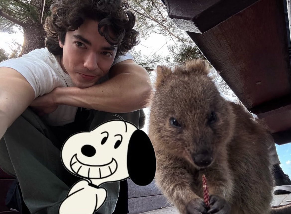 peanutsgray tweet picture