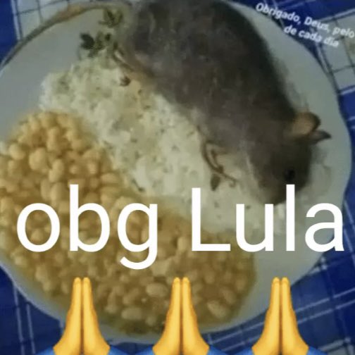 Beacanutoa's tweet photo. FELCA VOCÊ ME PAGA https://t.co/pXFrtz2SAI