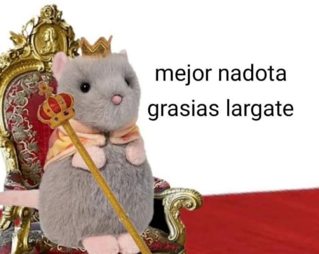 Guarromantico_'s tweet photo. Mi ex: mejor como amigos

Yo: https://t.co/d9mmAUGU4G