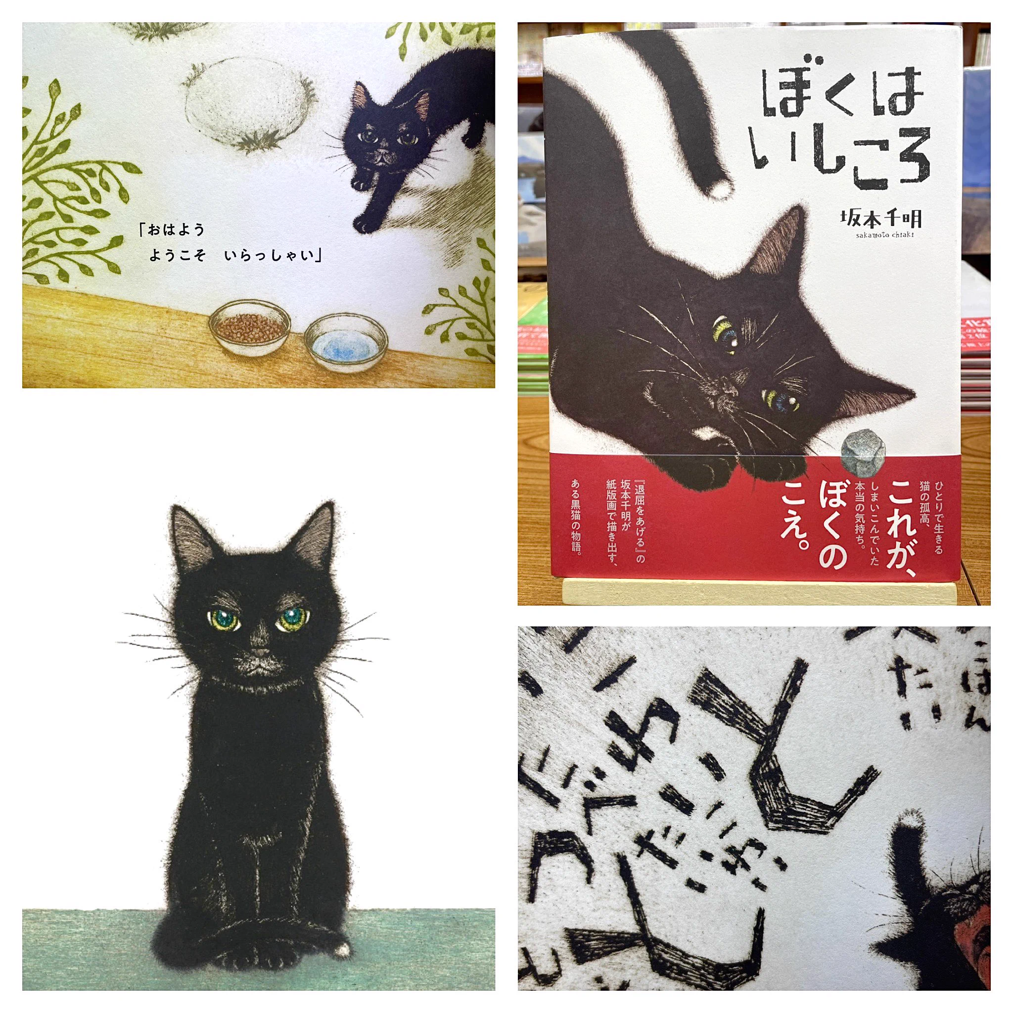 猫本専門 神保町にゃんこ堂_姉川書店 on X: 