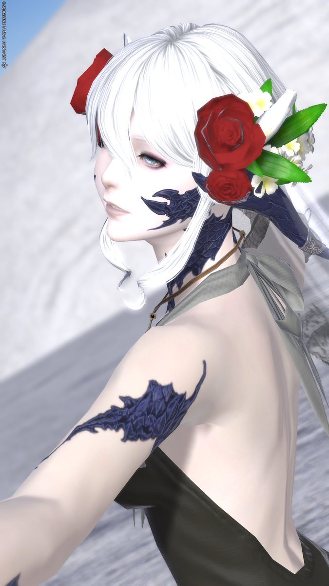 sayokujo's tweet photo. アウラちゃん(    ᷄ᾥ ᷅  ︎🫶🏻)𝑩𝑰𝑮 𝑳𝑶𝑽𝑬______
フレンド募集中🫶
#FF14 #FFXIV #FF14 #メンテだしとにかくあなたのssが好きって思ってくれるひとと出逢うために自分の推しssをそっと置いておく #自キャラを推してくれる人をありがたくフォローさせていただきたい #後角愛好会 https://t.co/6XWrxaEfEP