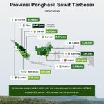 Photo by IG: info_riau (@infoRIAU)