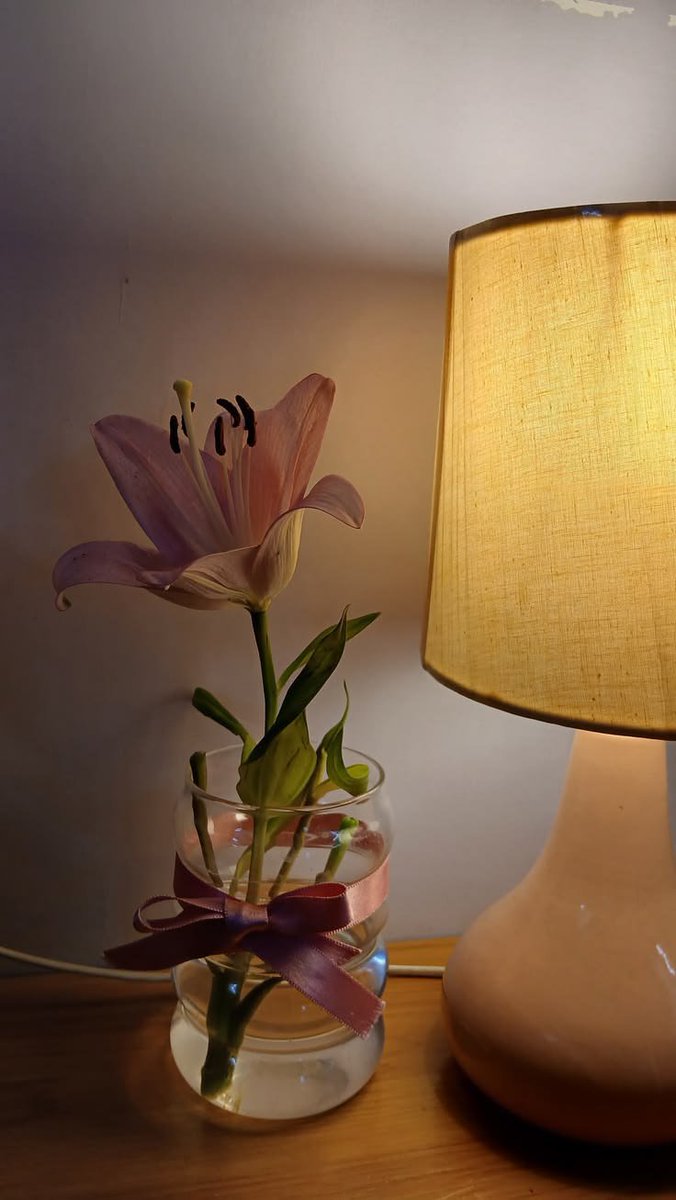 Liliestulipssss tweet picture