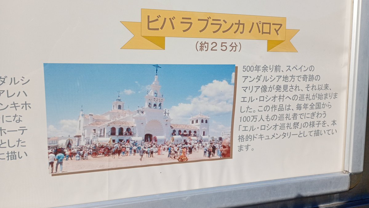 Mein0saurz's tweet photo. カンブロン劇場の上映作品、1日目にキャラクター未履修で「ドンキホーテ　夢見る騎士」を見て、2日目に解説一通り見てから「ドンキホーテ　幻の花を求めて」を見たんですけどどっちも面白いです　ダルちゃんは可愛いしアレハンドロは憎めないタイプのヒーラー https://t.co/ZjhcVwTMQi