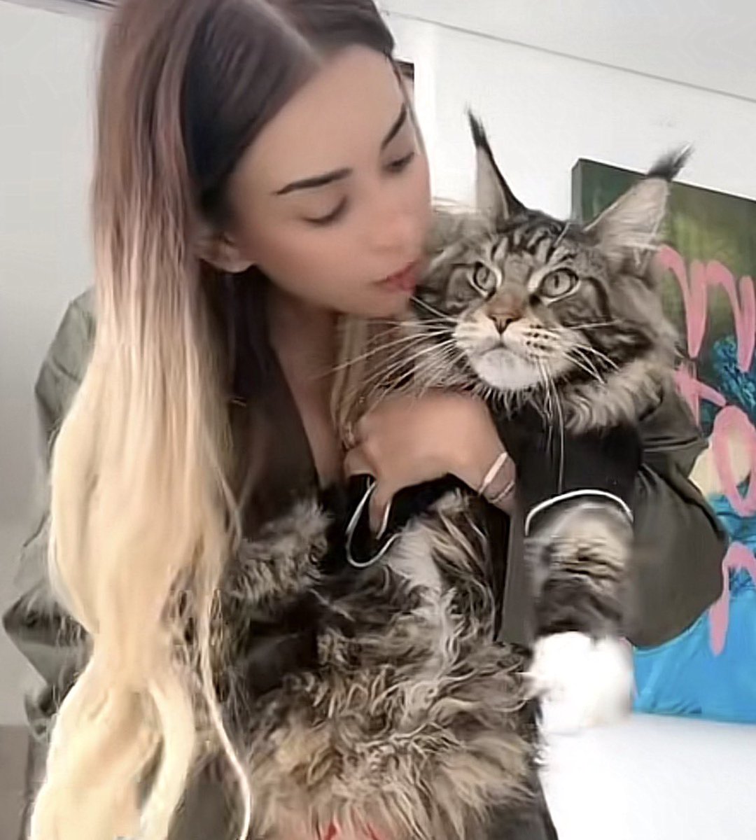 IsaCortezT's tweet photo. 5
Su gatito se llama Ivar 🙂‍↔️ https://t.co/pXVA6KYgqR