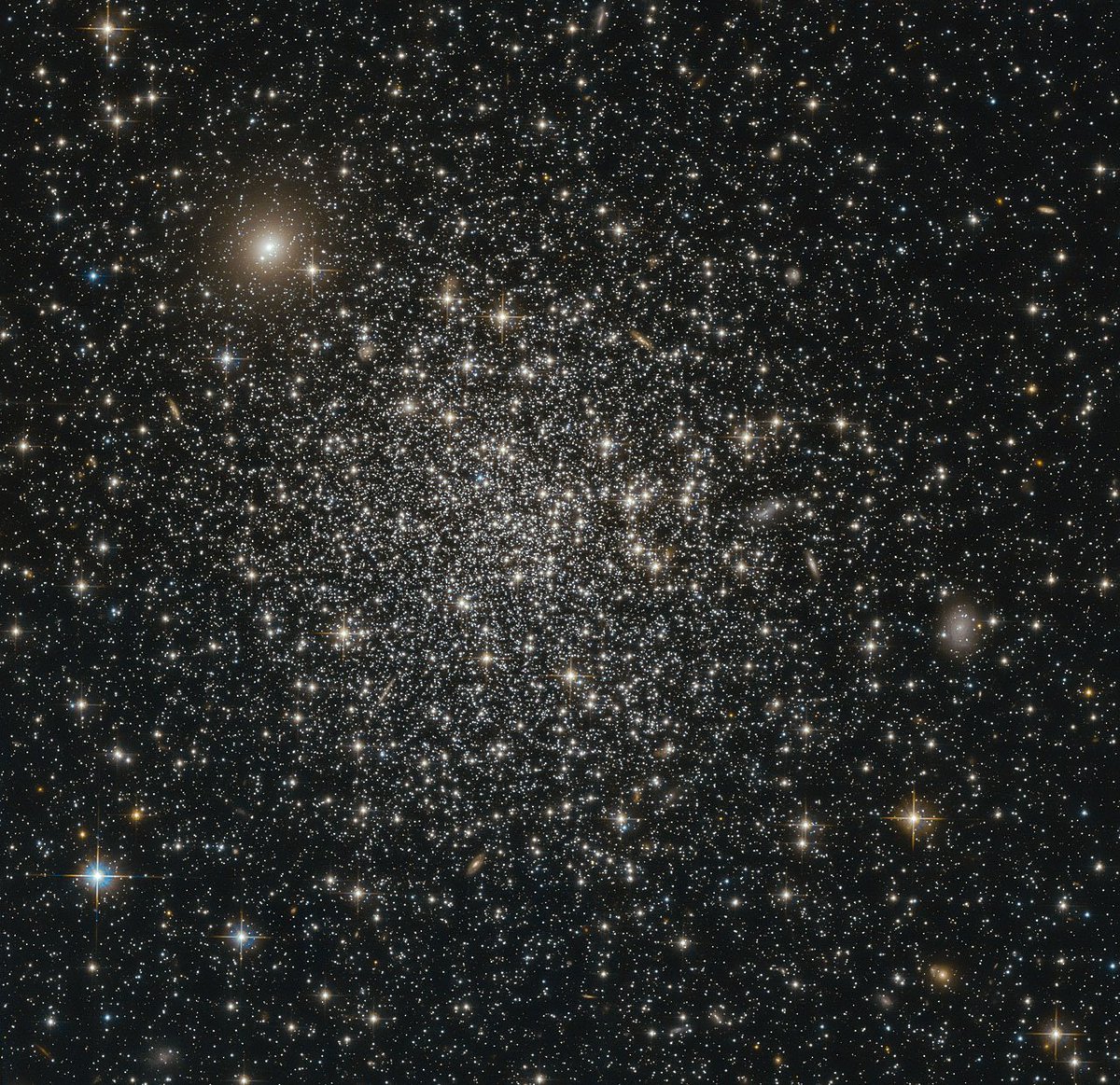 DailySpaceNude's tweet photo. Day 1373 - NGC 339

📷Hubble
#Space #Astronomy #Hubble https://t.co/eqGStzBvRv