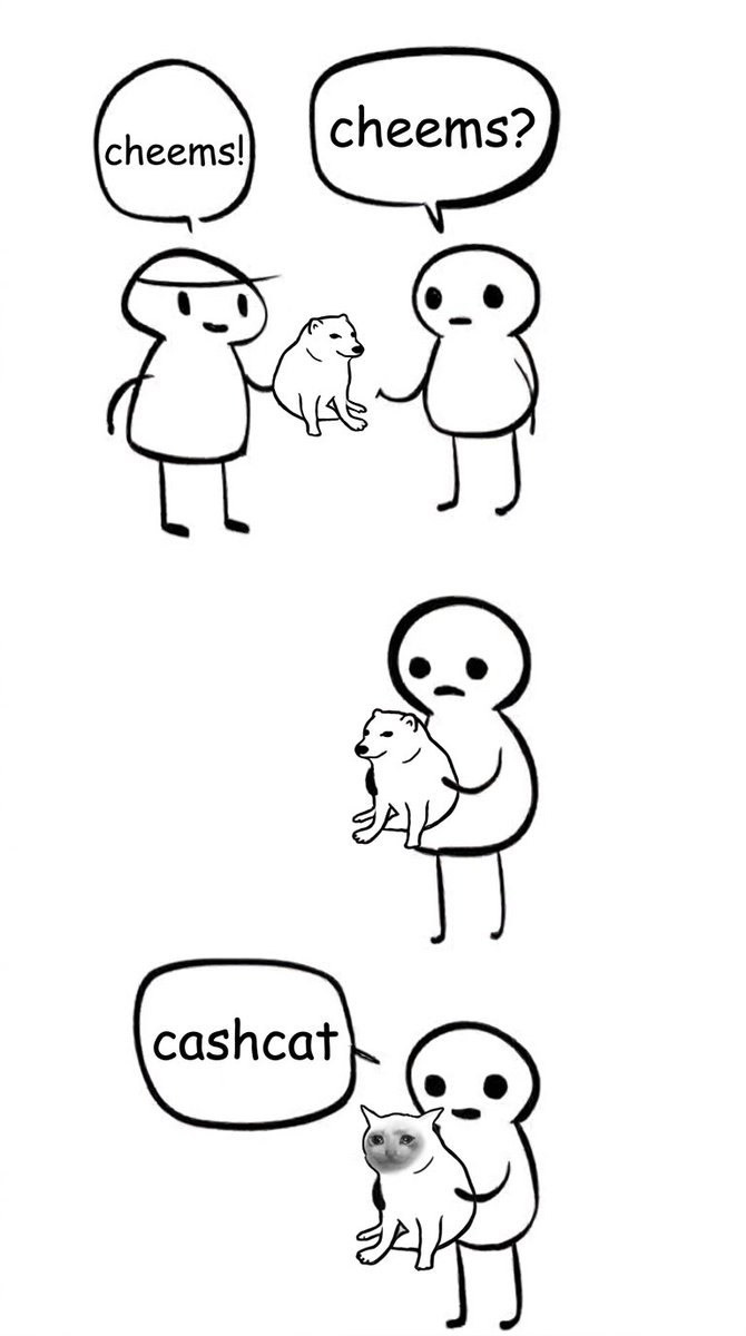 TheCheemsToken's tweet photo. https://t.co/hXwhKEiWHT