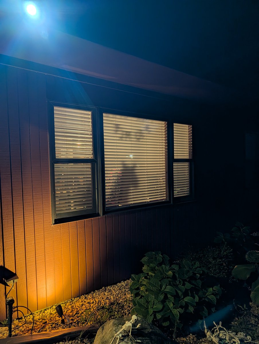 hallows_ev's tweet photo. I was setting up horse decorations for my #umamusume party and I guess this is how it looks to my neighbors. https://t.co/x2Tdu42bwK