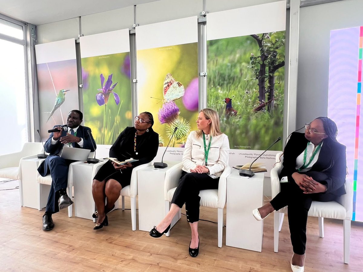 environmentza's tweet photo. DAY 2 @UNBiodiversity COP17 - From planning to finance: turning South Africa’s biodiversity priorities into investable action.

At CBD COP17 in Yerevan, South Africa hosted a side event titled “Advancing South Africa’s Biodiversity Agenda: From Planning to Finance” at the UN Pavilion.

The session began by grounding the discussion in South Africa’s national context with the overview of the state of the country’s biodiversity presented by SANBI CEO, Shonisani Munzhedzi.

A panel discussion moderated by DFFE Deputy Director-General Ms Flora Mokgohloa brought together Ms Candice Stevens, CEO of the Sustainable Finance Coalition, and Ms Phindile Masangane, Group Executive at the Development Bank of Southern Africa.

The panel explored how South Africa’s biodiversity priorities can be developed into credible, investment-ready projects through project preparation, catalytic and blended finance, effective partnerships and measurable benefits for biodiversity and communities. The proposed DBSA Biodiversity Investment Facility provided a practical basis for considering how the gap between planning and investment could be bridged.
