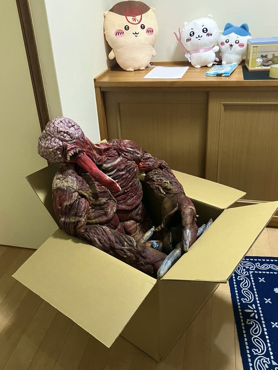 _rivao_'s tweet photo. 出荷します

向こうでも元気に暮らせよ！
腹いっぱい飯食わせてもらうんだぞ！ https://t.co/bibNca3dQT