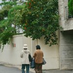 Photo by Gilak! (@Gil4ck)