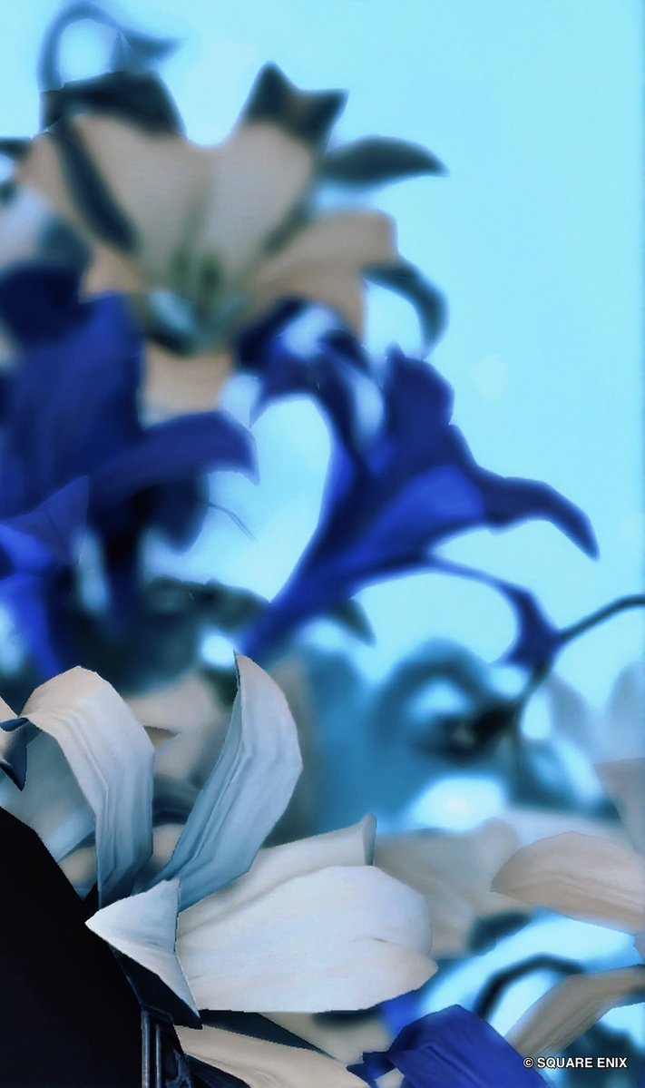 ricca_ffxiv's tweet photo. 今日もお疲れ様✨
夜はまったりと😌
#FF14SS #Studio_Luce #オスラ https://t.co/nBgQkqkrhJ