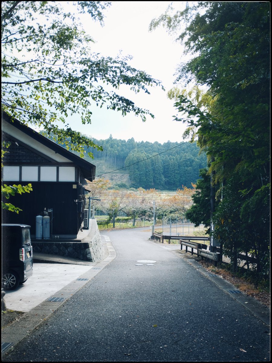 infomyselect tweet picture