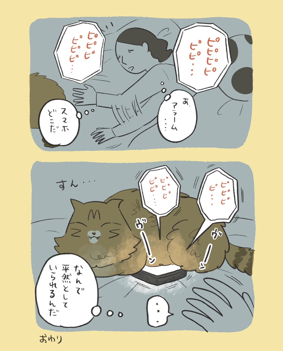 bana_wanko's tweet photo. それで寝れる意味がわからない https://t.co/D7o7y1nxkA