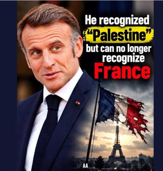 NumberEightNews's tweet photo. Why do the French keep re  electing Moron? https://t.co/KXkHwYicby