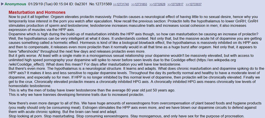 semenarchive's tweet photo. A nice science explanation of what happens in the brain when you enjoy porn or any other high dopamine content with no real effort by the user.

Cooperation between men in people with high T, it's true. https://t.co/w4NXj8UTR3