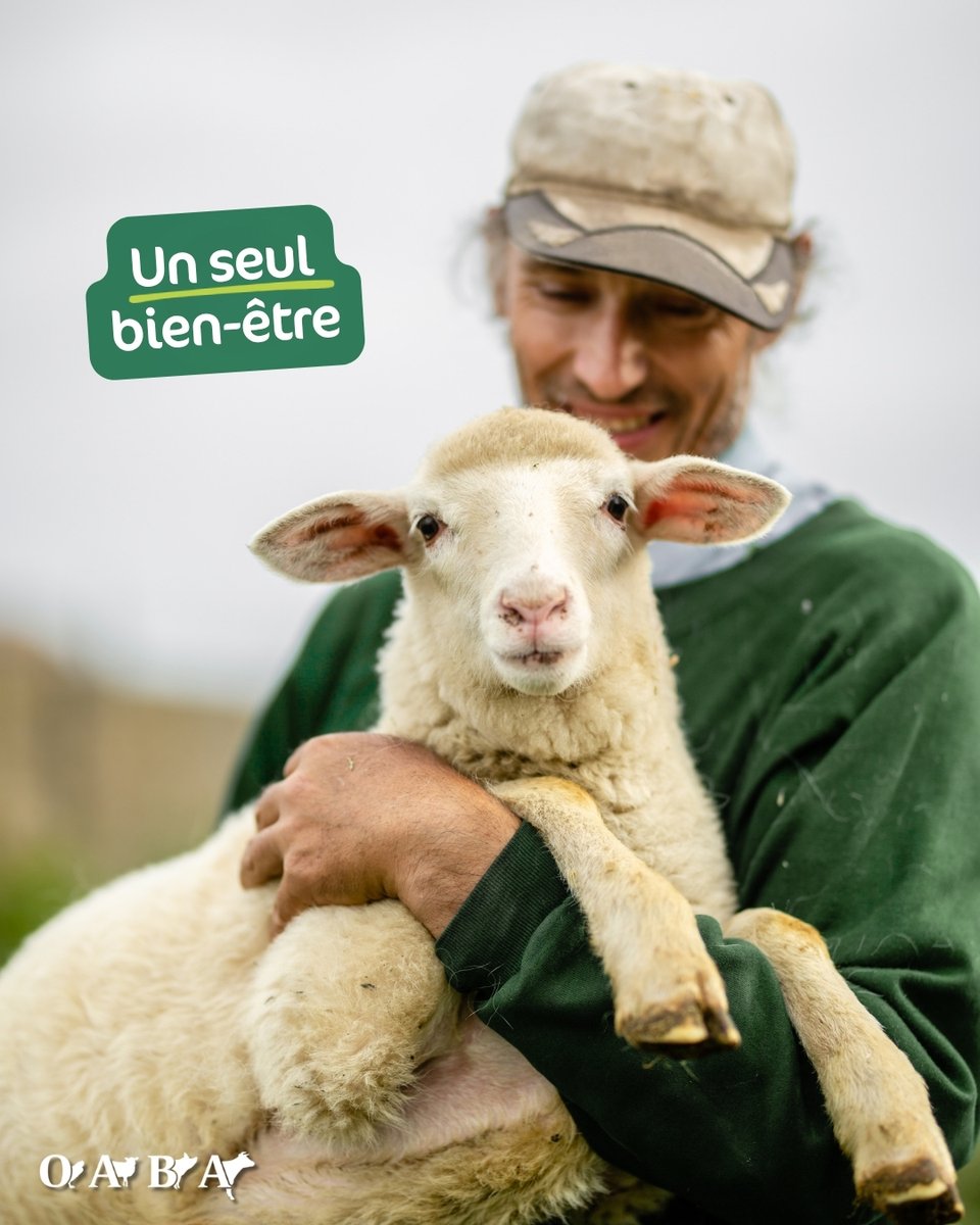 OABA_Off's tweet photo. 🐮🐔 Au Sommet de l'Élevage, la Chaire Bien-être animal a consacré une table ronde aux liens entre bien-être animal et bien-être des éleveurs.
Invité à intervenir, Frédéric Freund, directeur de l'OABA, a rappelé que ces deux réalités sont indissociables.
1/4 https://t.co/JRphLEMzp3