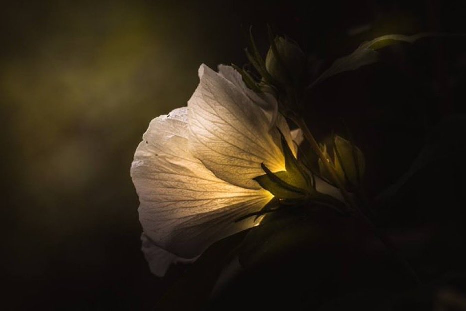 perennialmystic's tweet photo. “Love is the most universal, the most tremendous
and the most mysterious of the cosmic forces.”

~ Pierre Teilhard de Chardin https://t.co/dPX2ENyucp