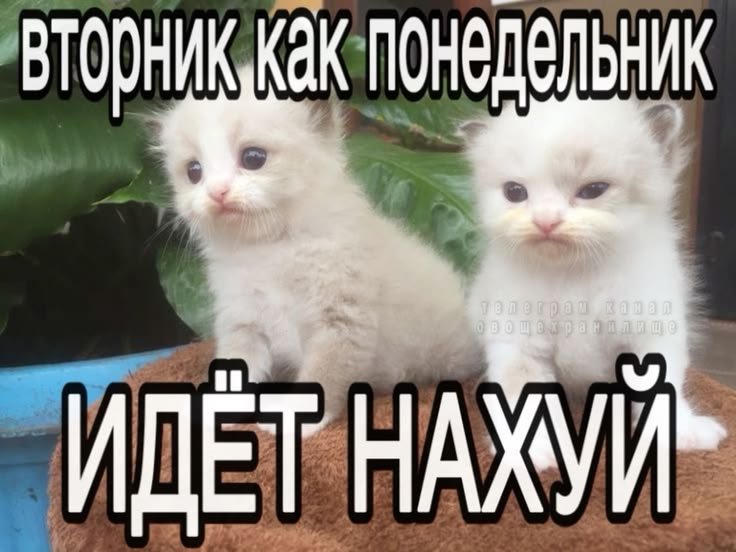 ishhmmv's tweet photo. https://t.co/4d46S7JzS1