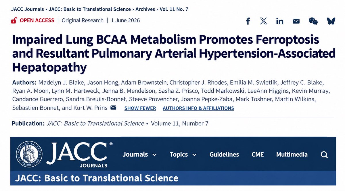 georgepapadapol's tweet photo. Mirando hacia adelante (perspectiva futura en PAH):
El metabolismo alterado de BCCA, o ferroptosis y hepatopatía asociada con PAH: Un posible nuevo mecanismo biológico y blanco terapéutico potencial #CHEST2026 https://t.co/y3flvUg0pI