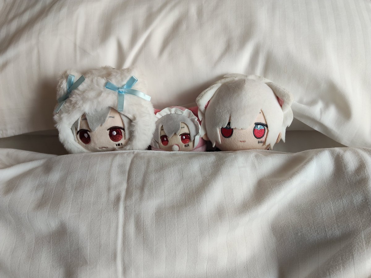 uni_rain1018's tweet photo. 広島滞在最終日！！
これは昨日一緒に寝たぬいちゃんたち https://t.co/ESwU3T9amc