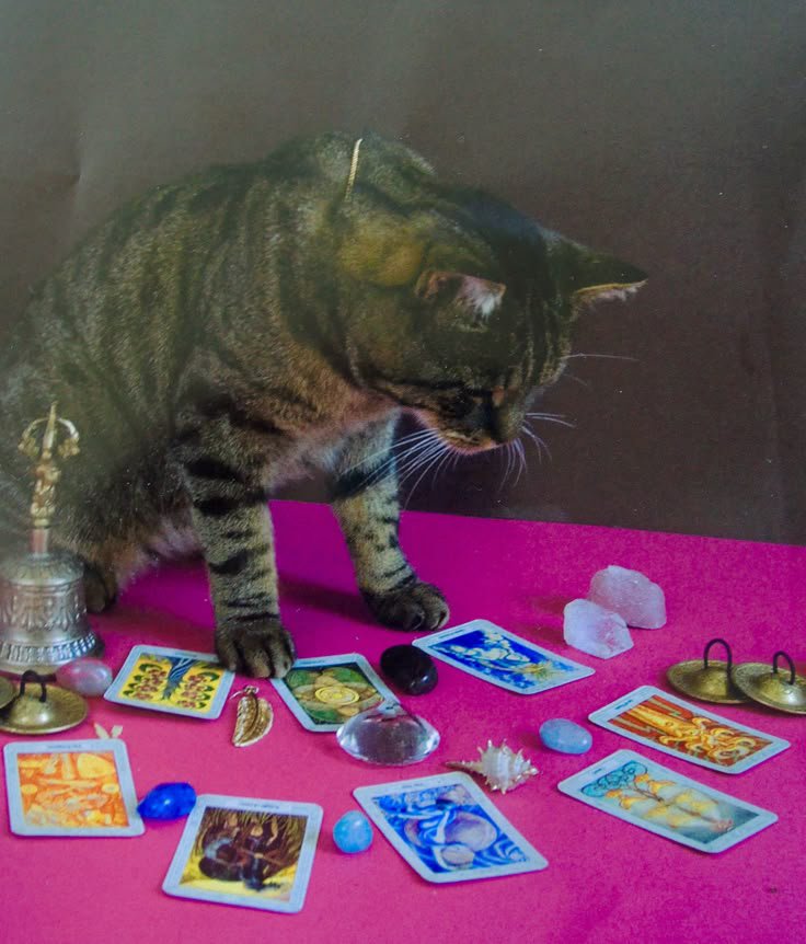 unyagisaurus's tweet photo. sesi tarot bersama unagi hari ini suda open ya🥰🫶🏼 boleh mention setelah dm terimakasih https://t.co/ljZjceHHWQ