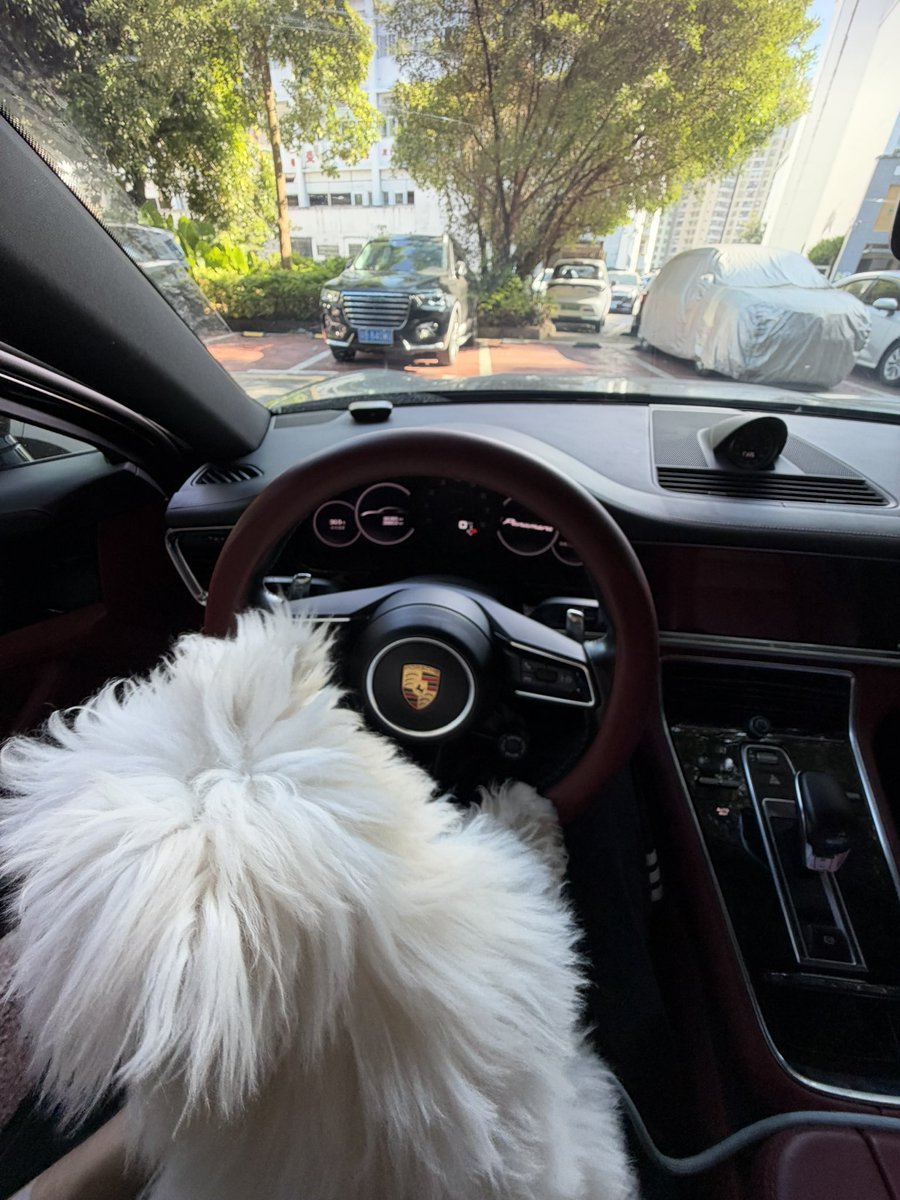 WuYi5512's tweet photo. 小狗开车 x上有小狗吗 https://t.co/RBV3cfHD5J