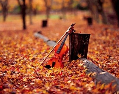 chorichie's tweet photo. an autumn melody amongst the leaves
such color and beauty under the trees...
#richie https://t.co/KJpB9dVdW8