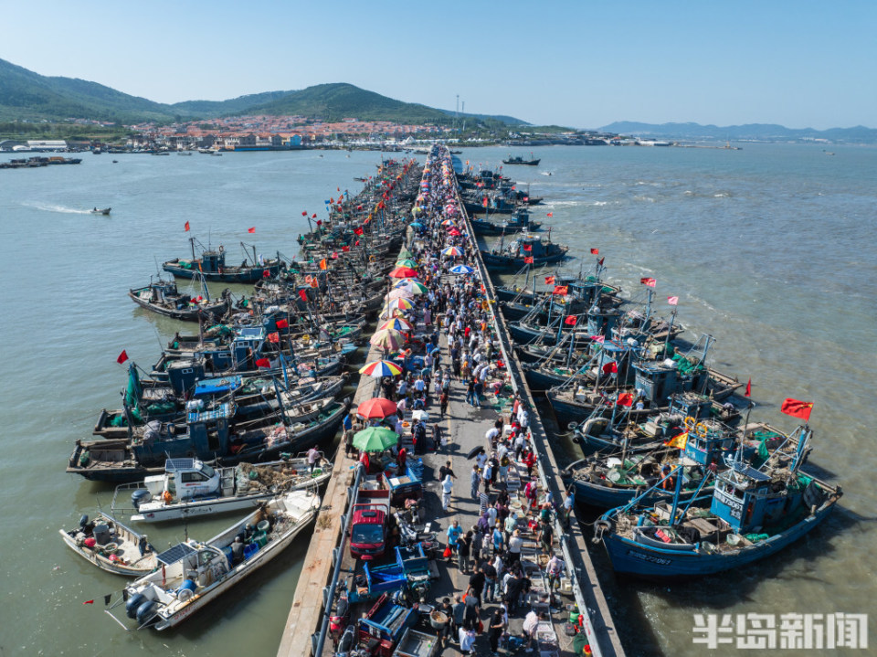 marshal7722's tweet photo. [Fresh catch from Jiahe harbor—JiaBo’s daily haul is here!]， https://t.co/aZKGWEnnbi