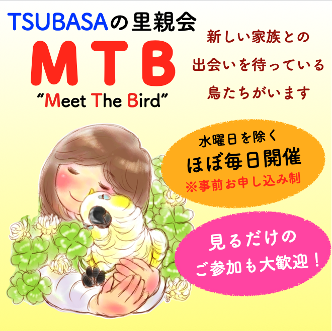 TSUBASA6077's tweet photo. 【里親会:MTB 随時受付中！】
TSUBASAの施設で暮らす鳥たちの里親を随時募集しております。
里親会:MTBは水曜日を除く毎日開催。
興味のある方はぜひご参加くださいませ！ 
詳細、お申し込みはこちら↓
https://t.co/WTYebB1qdx
#里親会 https://t.co/CqhNP5BhWF