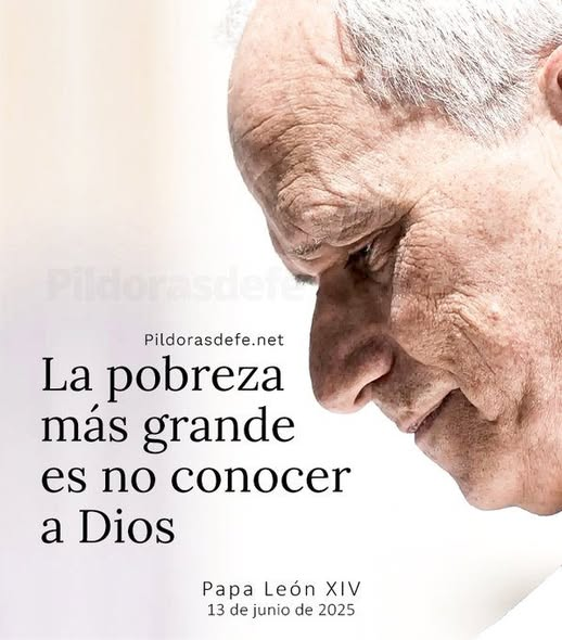 liderSanAlfonso's tweet photo. https://t.co/d5YI8o0gK6