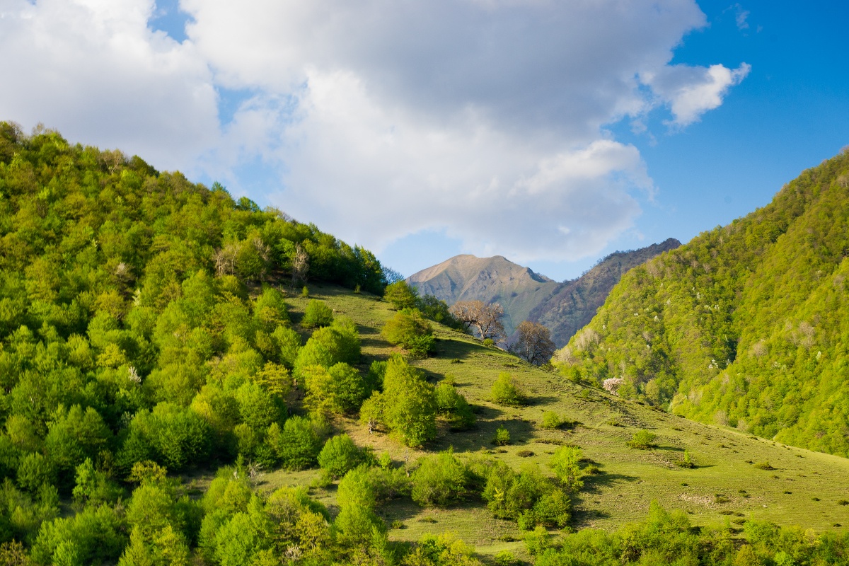 jocelyn39341519's tweet photo. Yuanqin, Guci and the scenic Guyun Valley make this day perfect! https://t.co/ilx6xphpXu