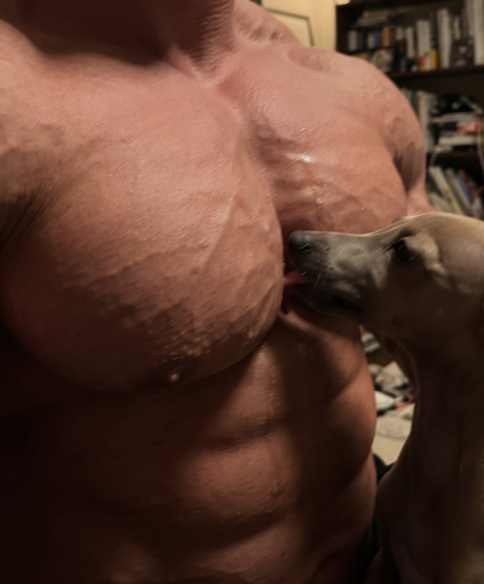 wakearimuscle2's tweet photo. 友達の犬にすっごい舐められる🤣 https://t.co/EoGZkBfbPn