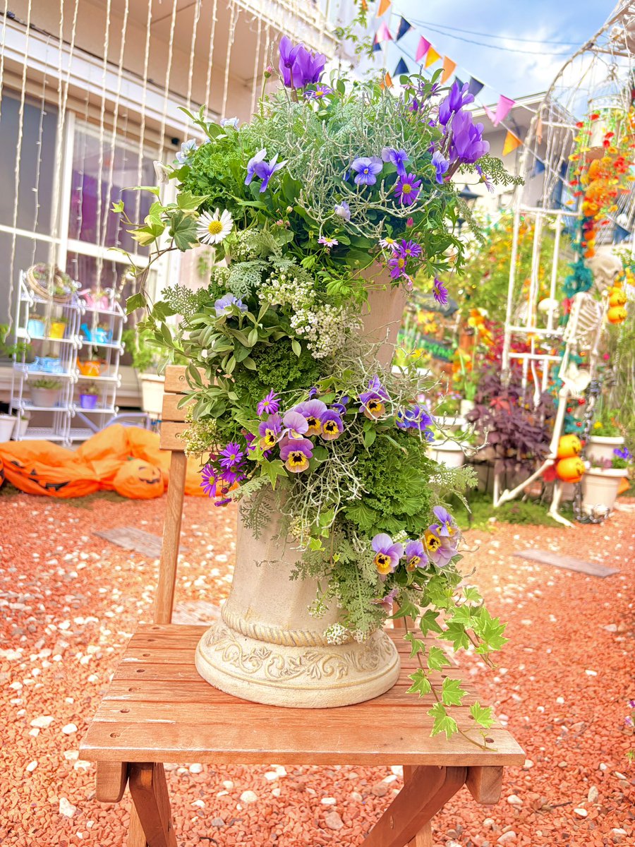 happy_reokun's tweet photo. 素敵な鉢を購入したので、早速お花を植えてみました🌼🌿

今回は初めてのS字寄せ植えに挑戦💐
バランスを考えながら植えるのがとっても楽しくて、夢中になっちゃいました🥰

こちらの素敵な鉢は
フラワーセンターマツオ様で購入しました✨

実は購入した際に、お店で声をかけてくださった素敵なお姉様がいらっしゃって…💕

「あの鉢、すごく気になってたんです！お花を植えたらぜひ見てみたいです！」

と嬉しいお言葉をいただきました🥹💓

その場でInstagramもお伝えしたので、見てくださっていたら嬉しいなぁ☺️🌷

あの時のお姉様〜！
こんな感じに仕上がりましたよ〜💐✨

素敵な鉢との出会いだけでなく、お花を通じた素敵なご縁にも感謝です🌸

#寄せ植え #S字寄せ植え #ガーデニング #花のある暮らし #フラワーセンターマツオ