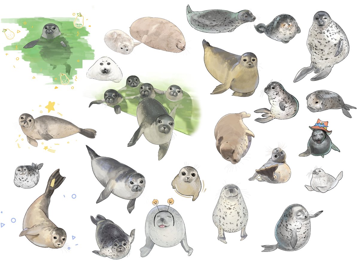 LezissmiT's tweet photo. 你好我画了很多海豹，照着照片的摹写。
在考虑Draw One Seal来促进大家为海豹中心捐款。但我不想让Comm平台吃到手续费，所以提供“带有时间的捐款邮件+带有时间的银行卡支出记录”这样的方式会不会更好呢？
一张的金额设置为多少比较好呢？我不太了解欧元的消费🦭💓
#アザラシ幼稚園
#Zeehondencentrum https://t.co/ysakBI59Jd
