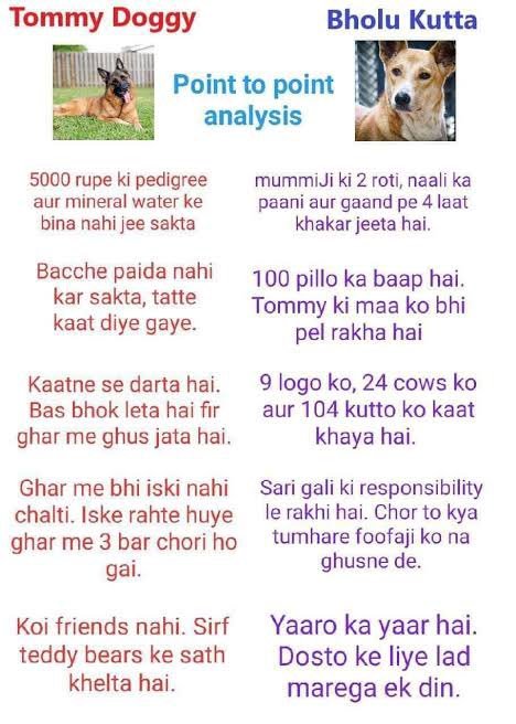 Prof_Cheems tweet picture