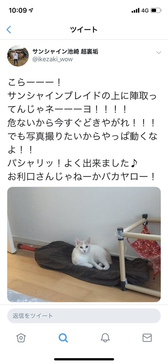 ikeike_dodondon's tweet photo. スクショから複垢バレたサンシャイン池崎、調べたら悪口言いまくる超裏垢、、、これは許せにゃい、、、🐾 https://t.co/ufsjZdLGyD