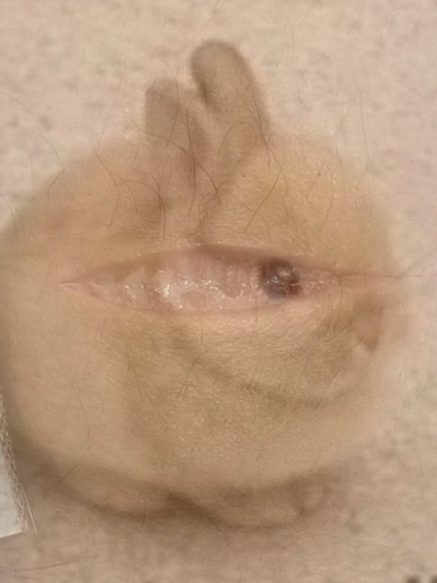 sinfulcyber420's tweet photo. It’s this beans or baby beans(dm for the actual photo) SUPER COOL BUNNY #shedtwtt #beanssfx #babybeanstwt #sfx #sharmtwt https://t.co/EzMc9bAbfJ