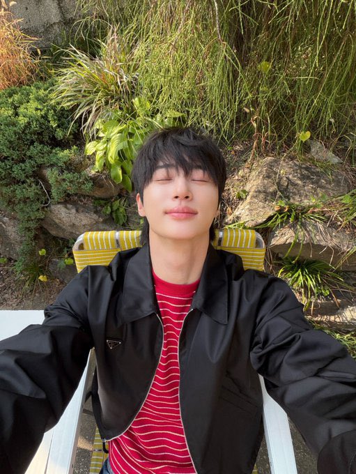 seonsogi tweet picture