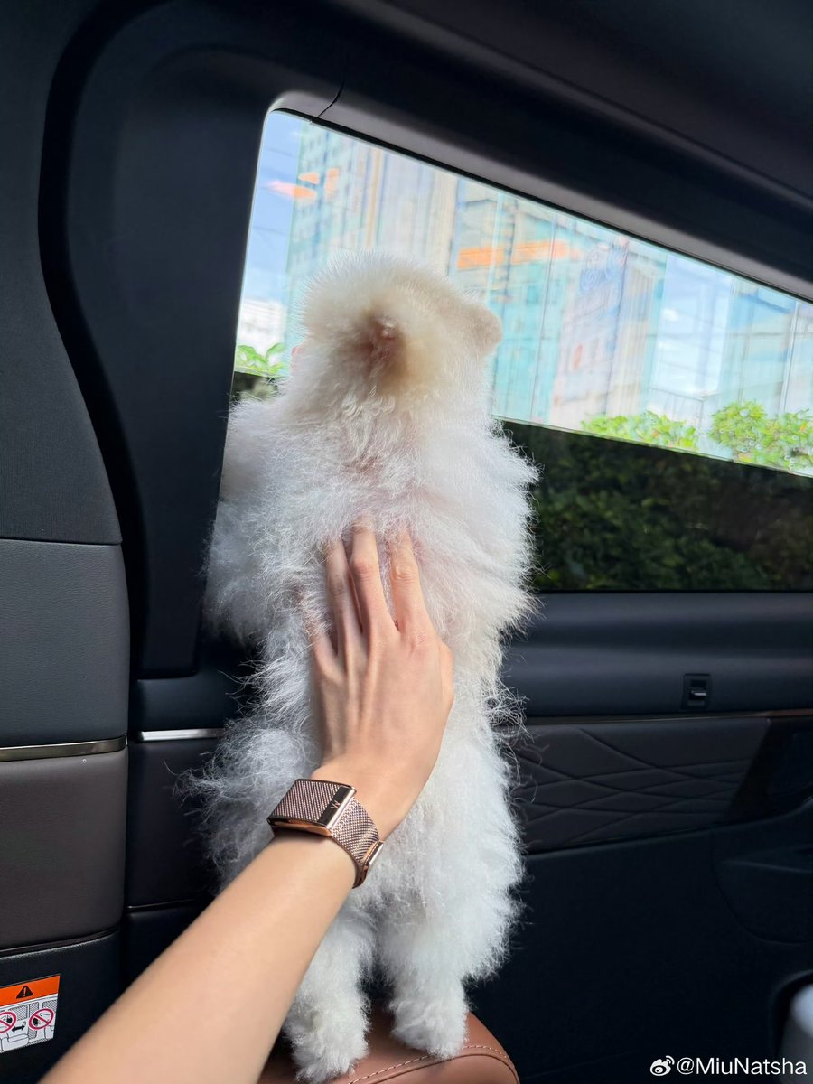 miunatsha_fans's tweet photo. [WEIBO] 261020
MiuNatsha : Hello🤎

#MiuNatsha #หมิวณัชชา https://t.co/6bG1nKw0WN