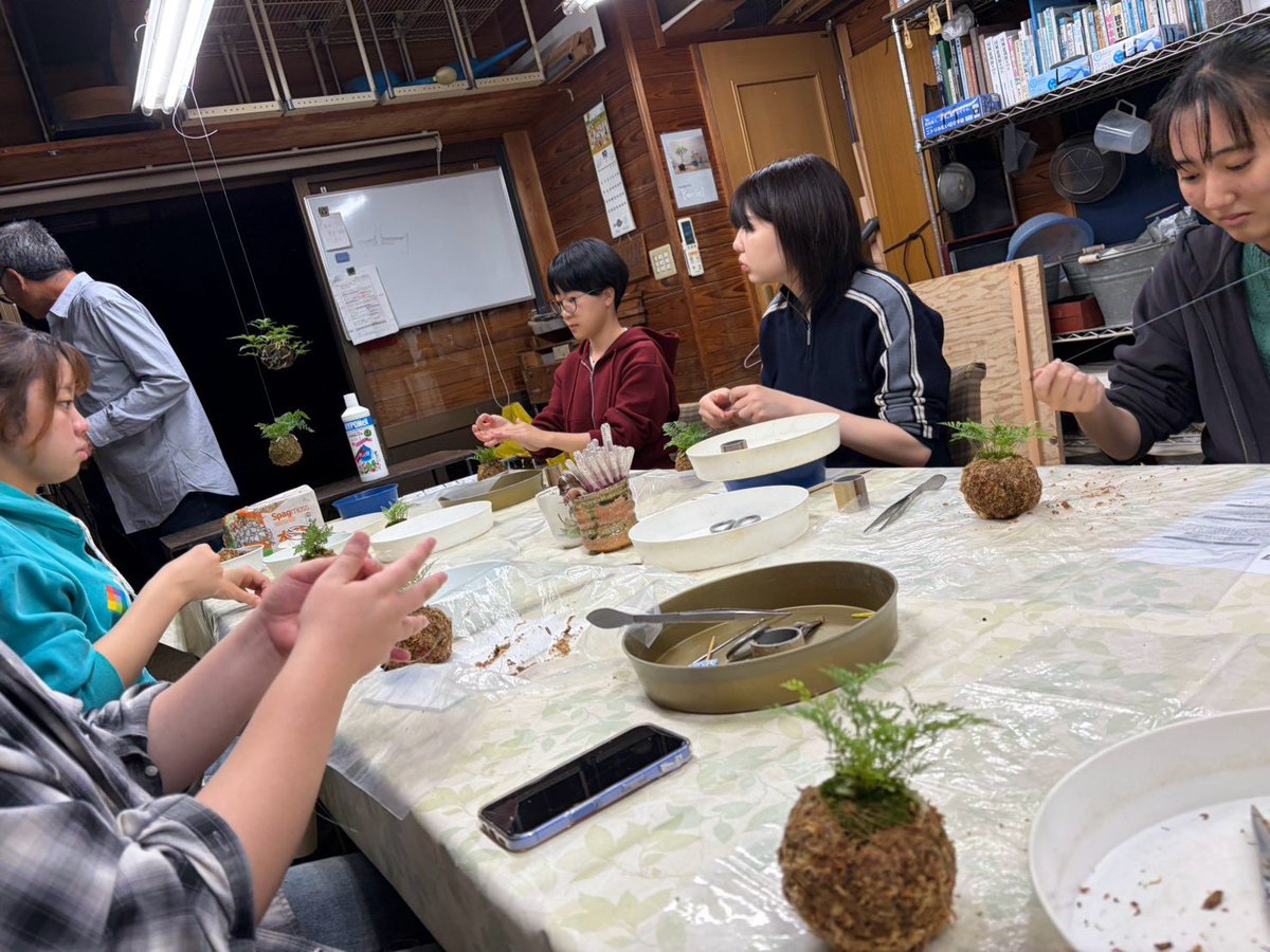 bonsaigirlsp's tweet photo. Bonsai☆Girls Projectです🌙
10/19に行われた盆栽教室の様子です
お世話になっている花澤明春園さんで、「しのぶ玉」の作り方を学びました！しのぶ玉を作ることは初めてで少し難しかったですが、楽しかったです！
作ったしのぶ玉は家で育てるので、愛情を注ぎたいと思います😌🫶

#香川大学 #BGP https://t.co/Hi9lGoZgdP